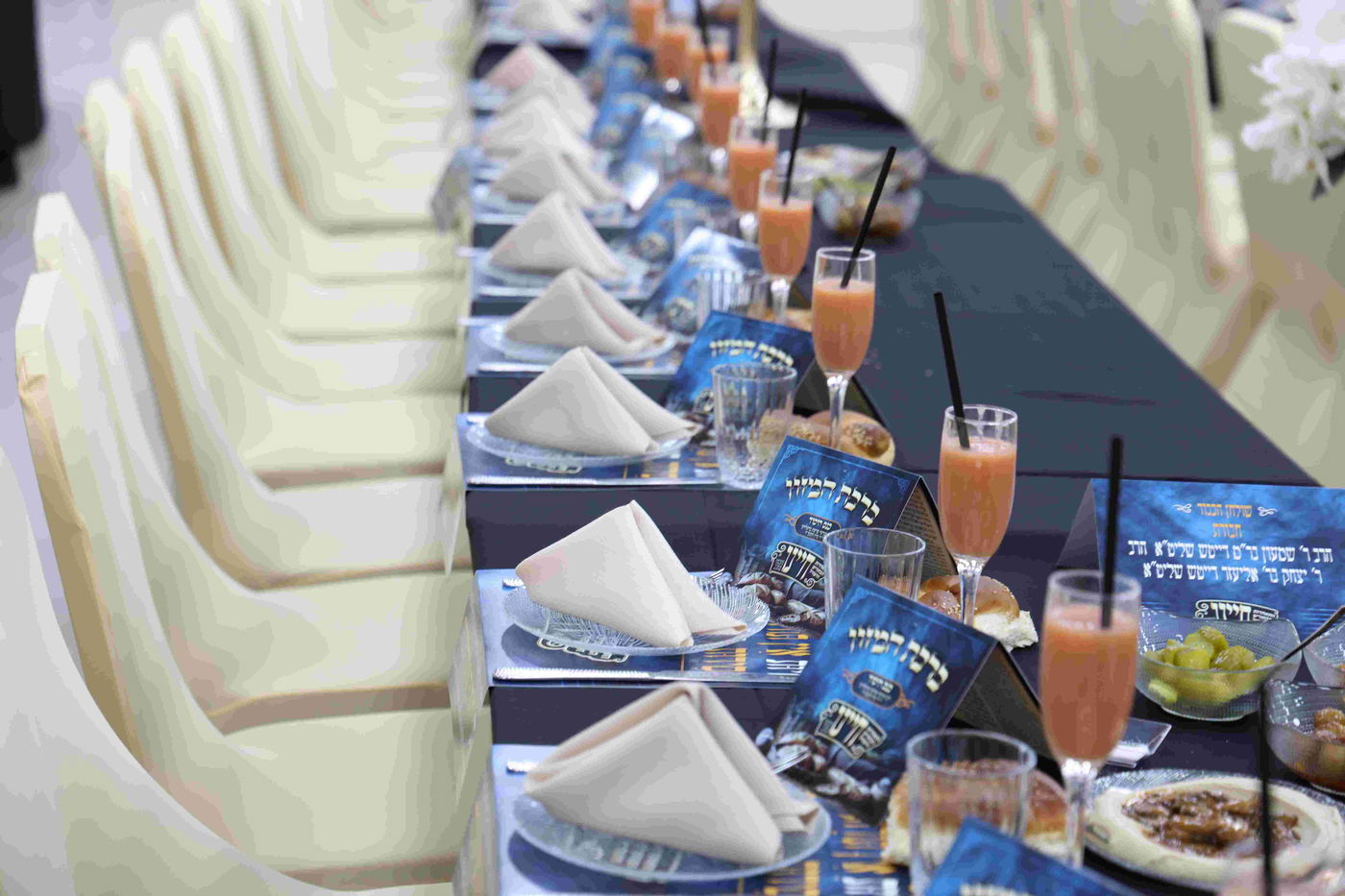 כינוס 'חיינו' בחצה"ק זוויעהיל 