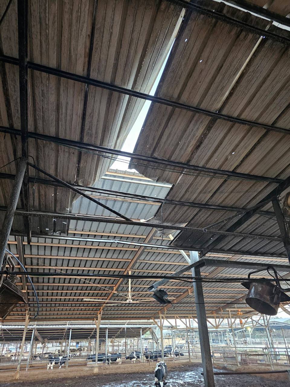 מבוקשים חוסלו על ידי כוחות מיוחדים בקלקיליה; ברפיח מדווחים על התקדמות צה"ל