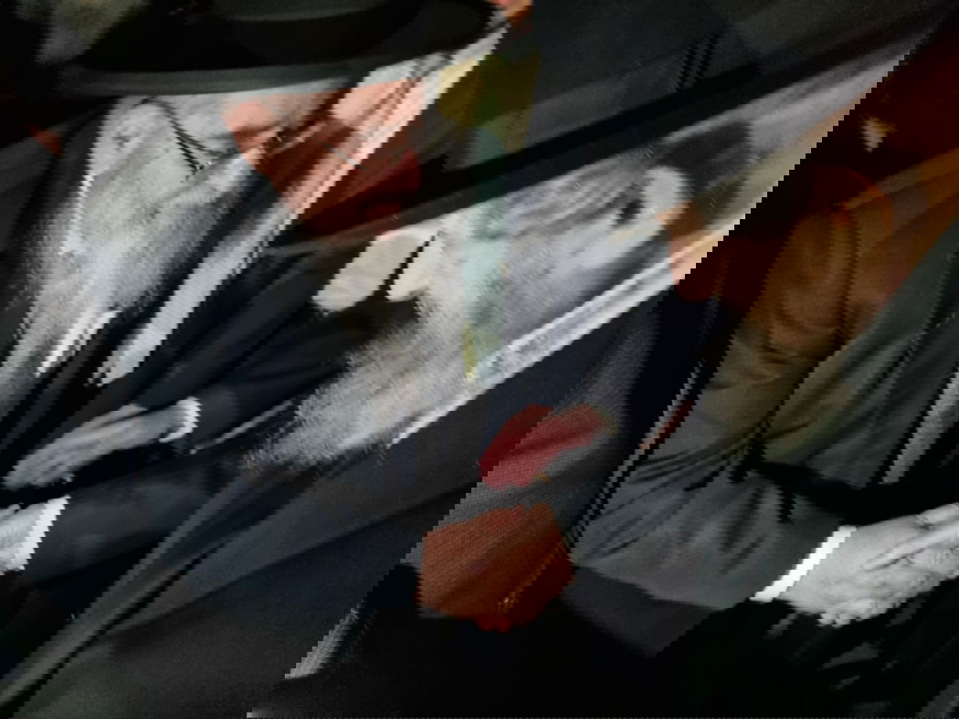 היסטוריה חרדית | גדולי ישראל בראשות הגר"ד לנדו יצאו למסע הקמת קרן עולם התורה