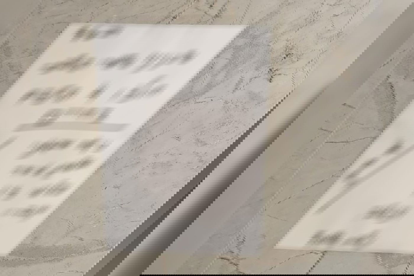 מודעה שנתלתה בשבת בבניין מגורים בפתח תקווה