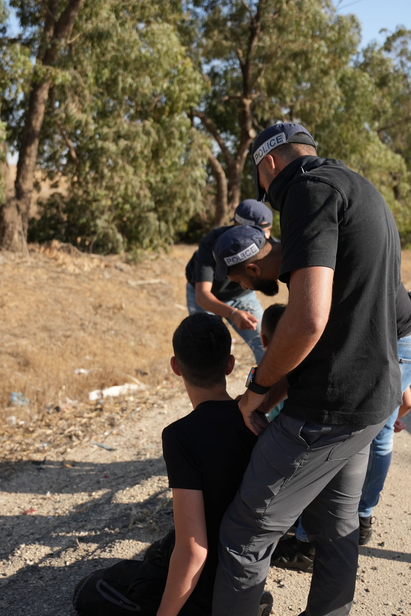 פעילות הכוחות