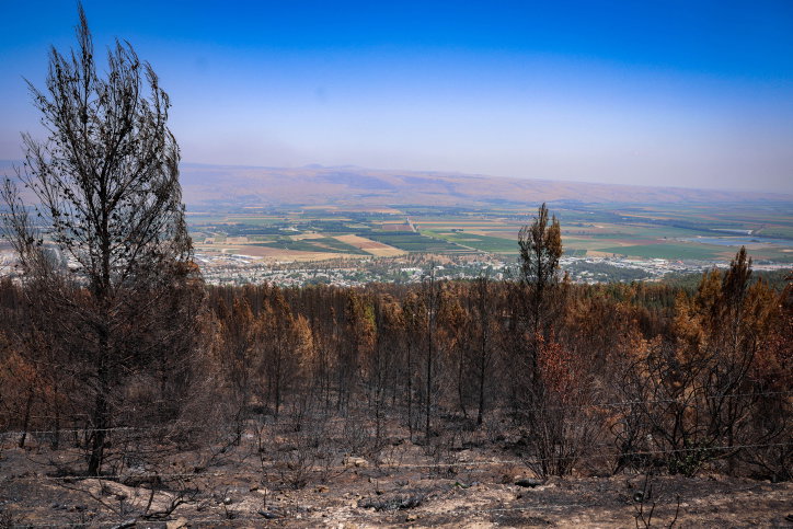 יער השרון לאחר שספג ירי מלבנון