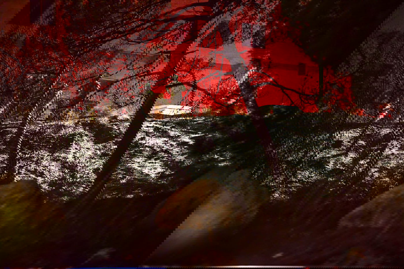 לאחר 3 שעות: הושגה שליטה בשריפה הגדולה בהר הצופים