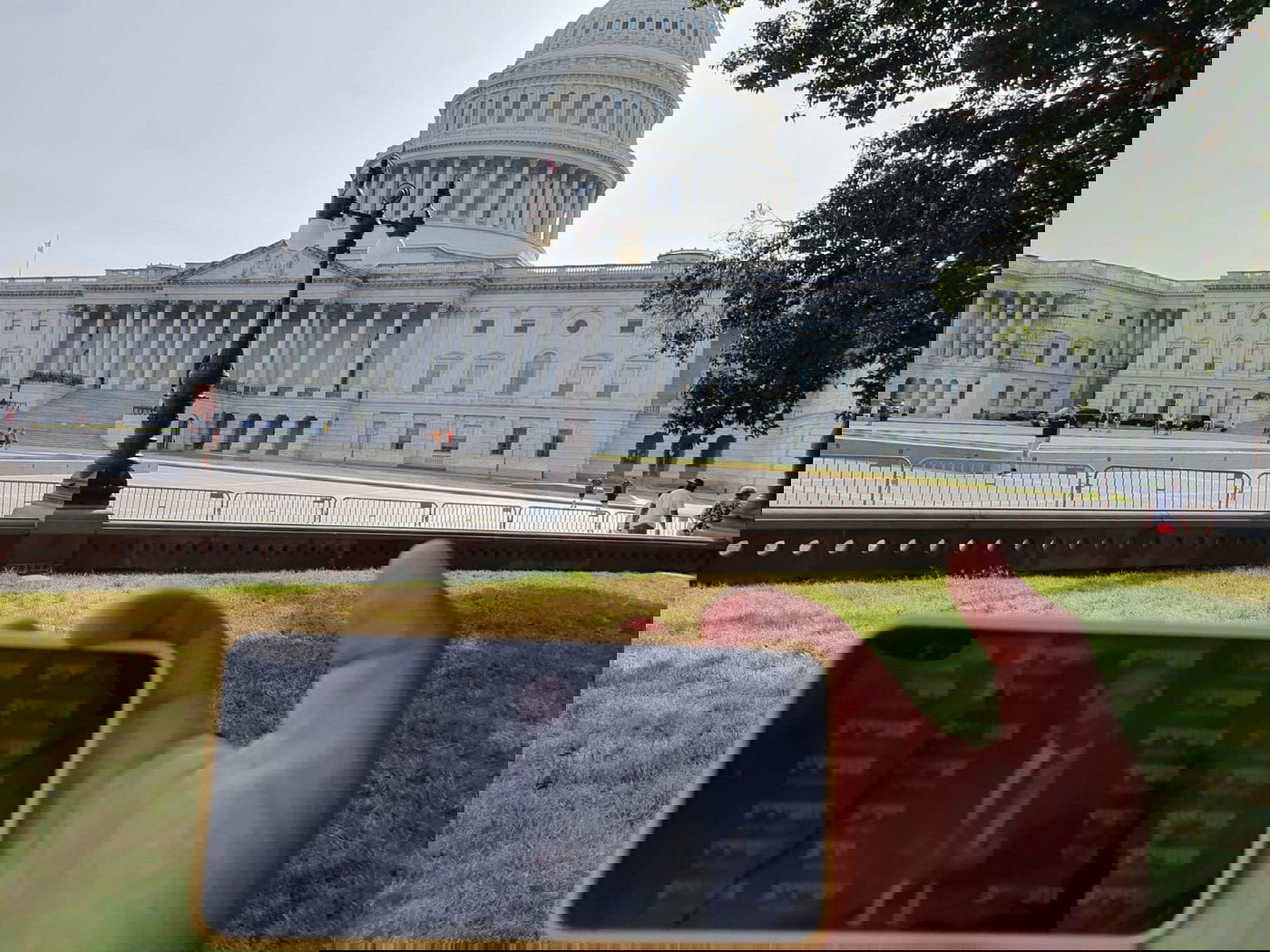 זופניק בכיכר • כל התמונות, הנייעס והחשיפות של השבוע