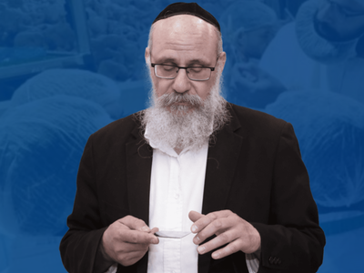 שוחט ברבנות הראשי- מקצוע מפרנס