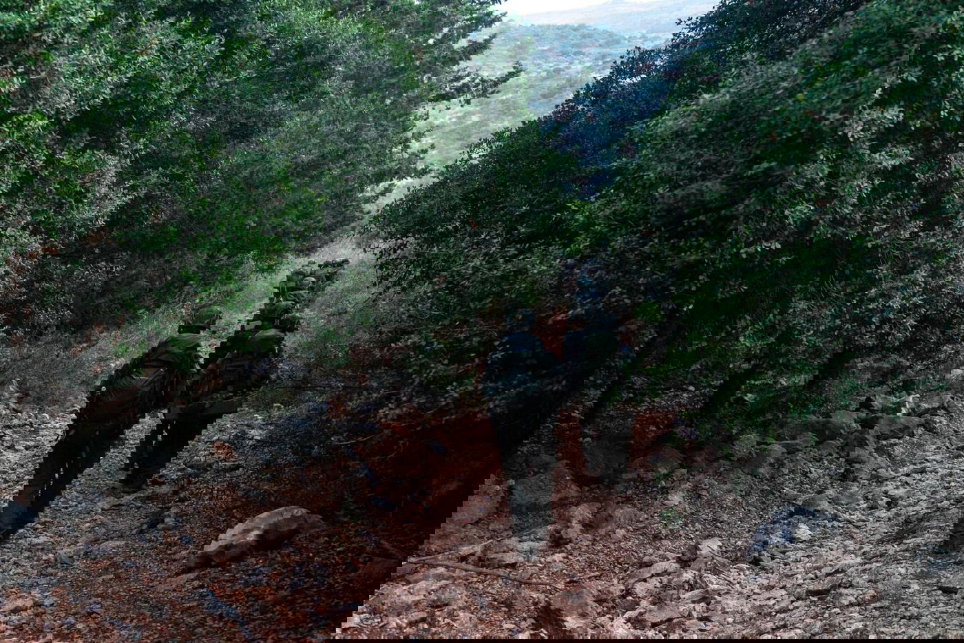 סדרת תרגילים לקראת מלחמה בצפון: צפו בתיעוד מהשטח