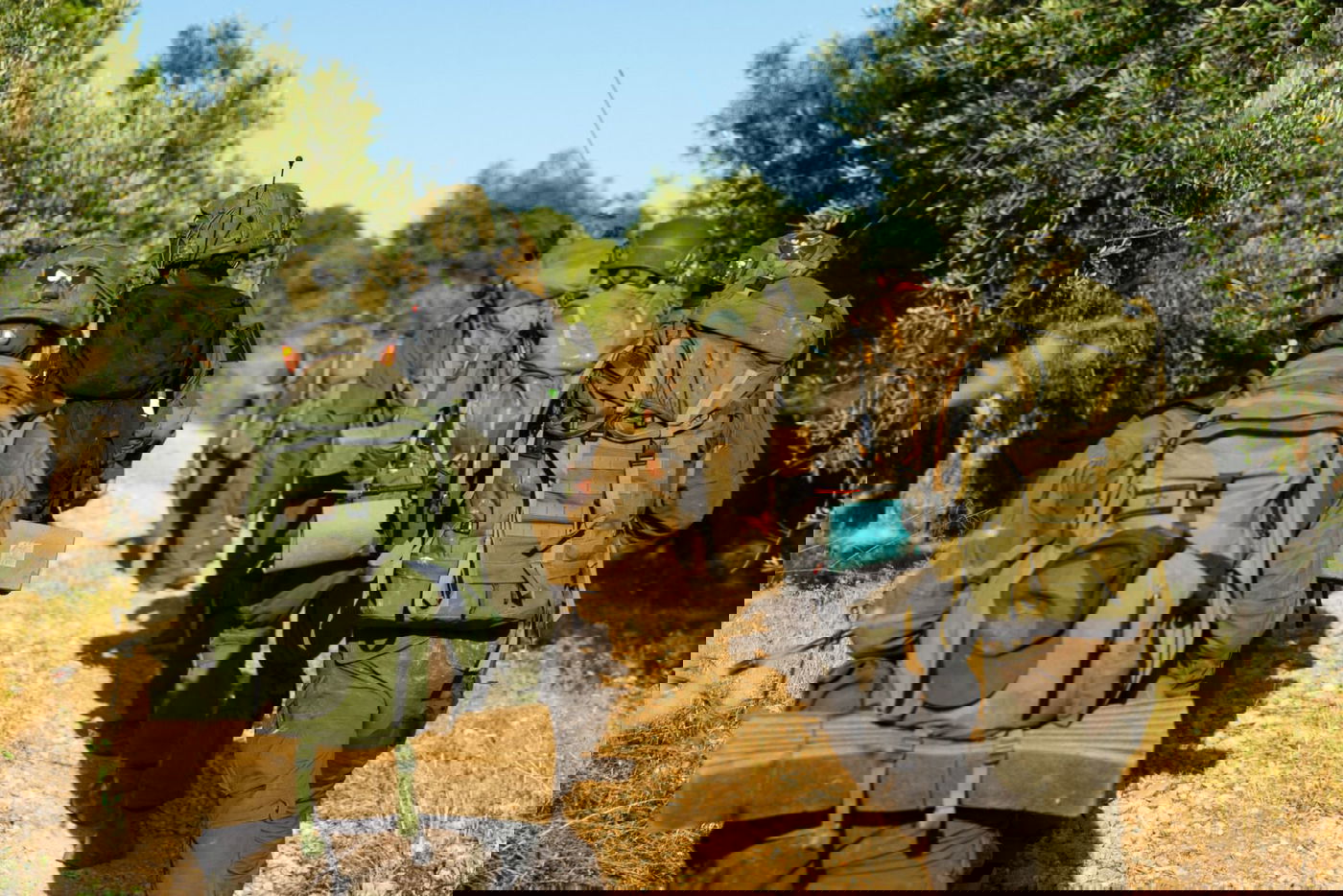 סדרת תרגילים לקראת מלחמה בצפון: צפו בתיעוד מהשטח