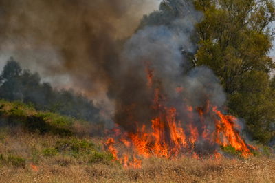ארה"ב מקרבת ספינת קרב; ישראל יוצרת 'אזור חיץ' בתוך לבנון