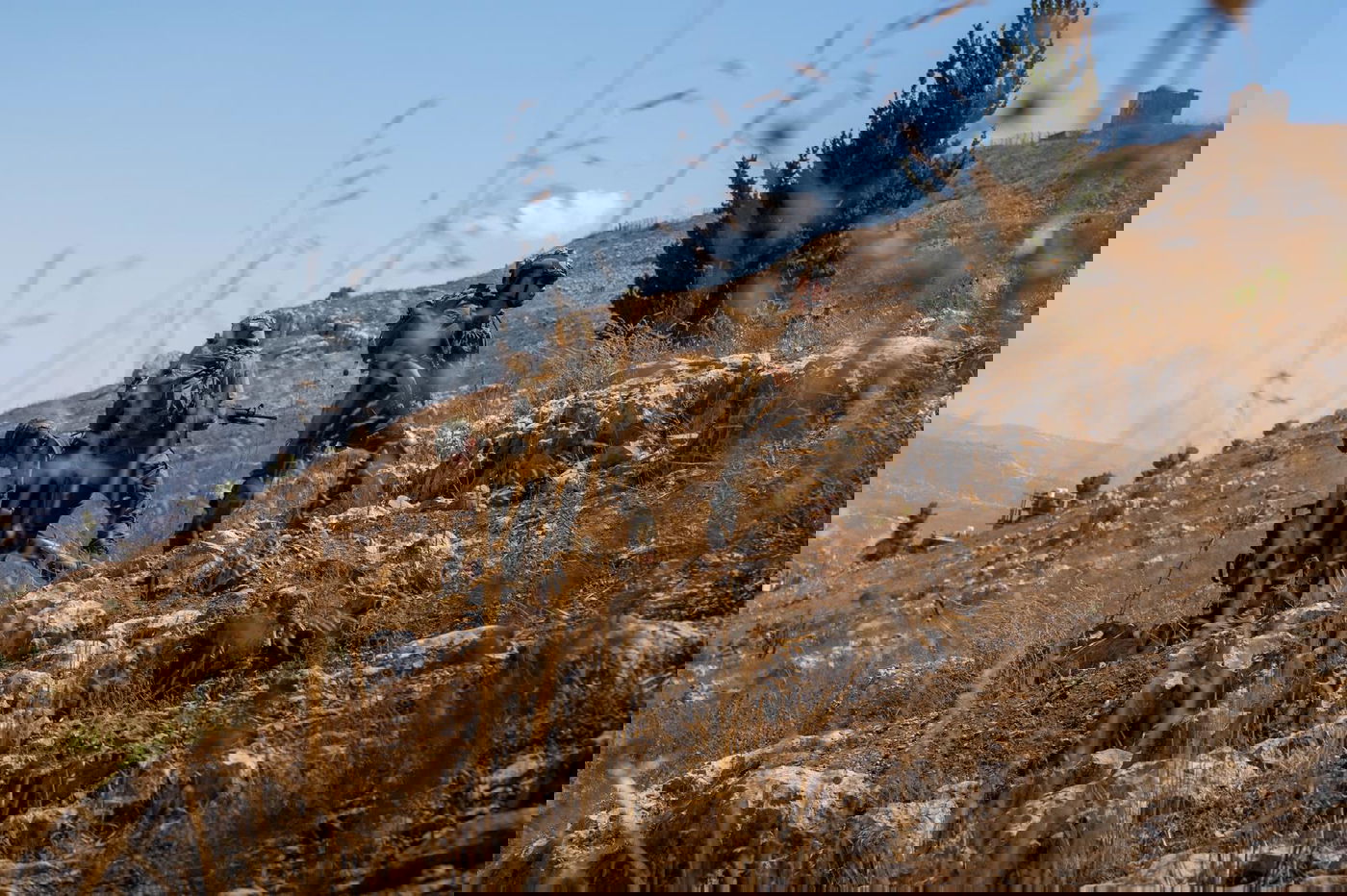 כוחות צה"ל מנהלים מצוד אחר המחבל שביצע את הפיגוע בהר ברכה 