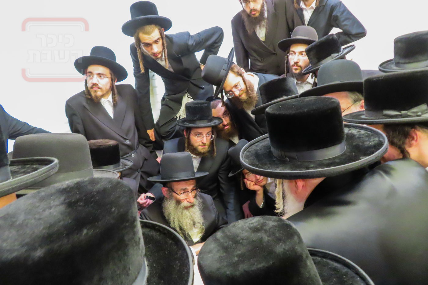 ניחום אבלים ב'אמונת ישראל'