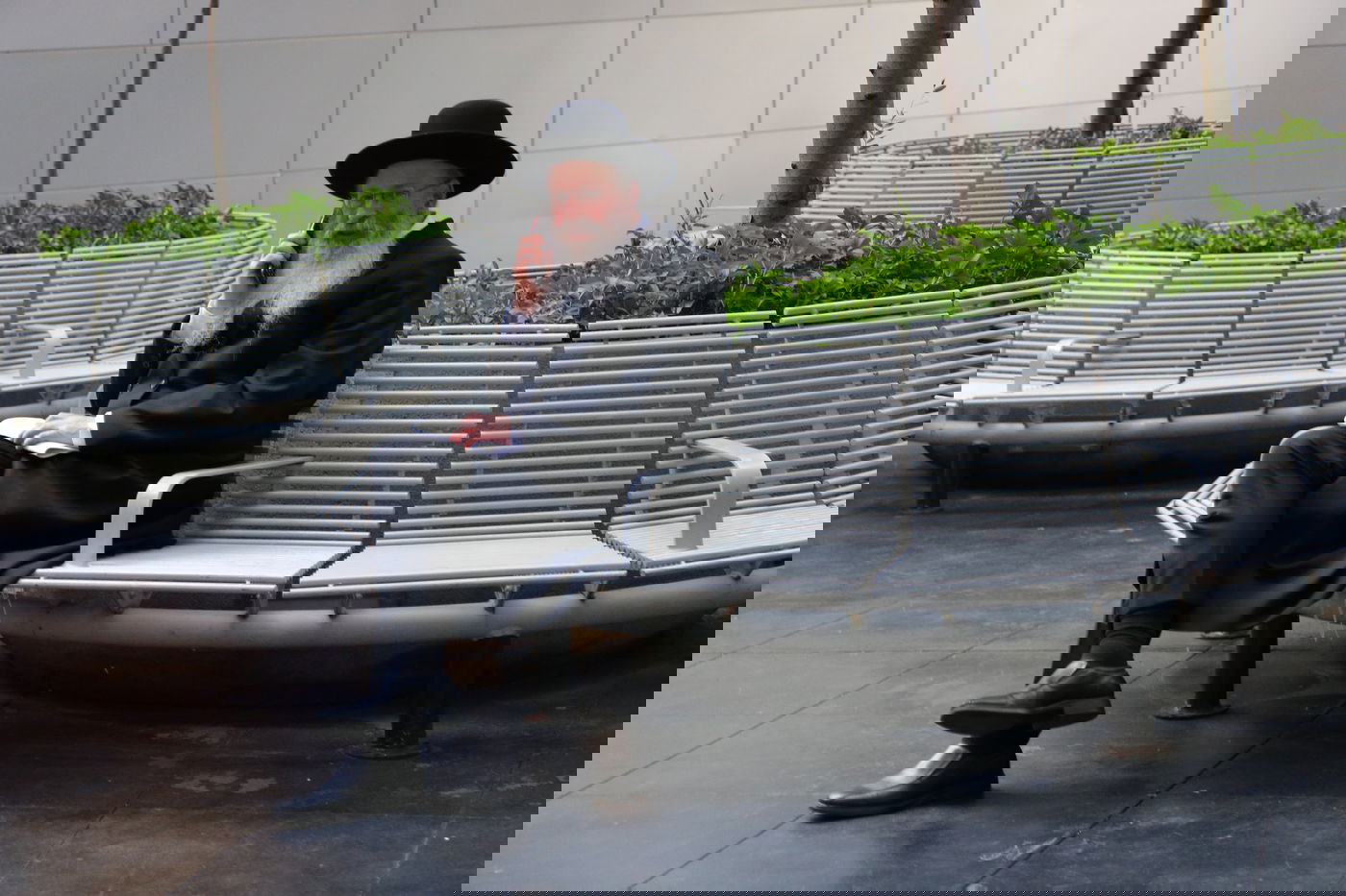 זופניק בכיכר • כל התמונות, הנייעס והחשיפות של השבוע