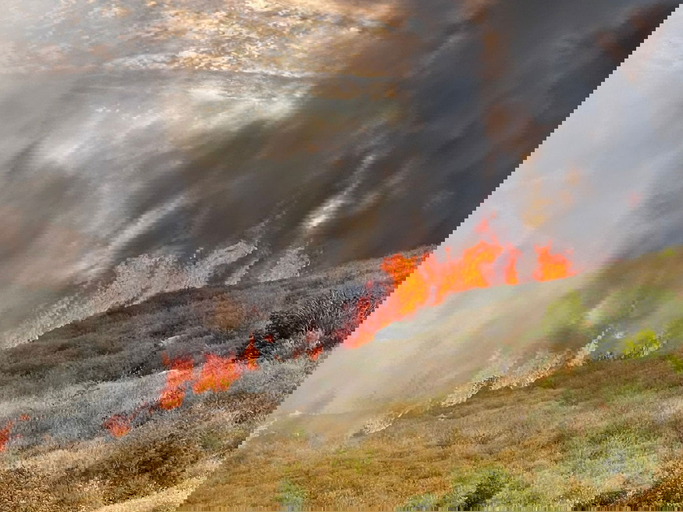 השריפות בצפון הארץ כתוצאה מהתפוצצות כטב"מים ושברי מיירטים