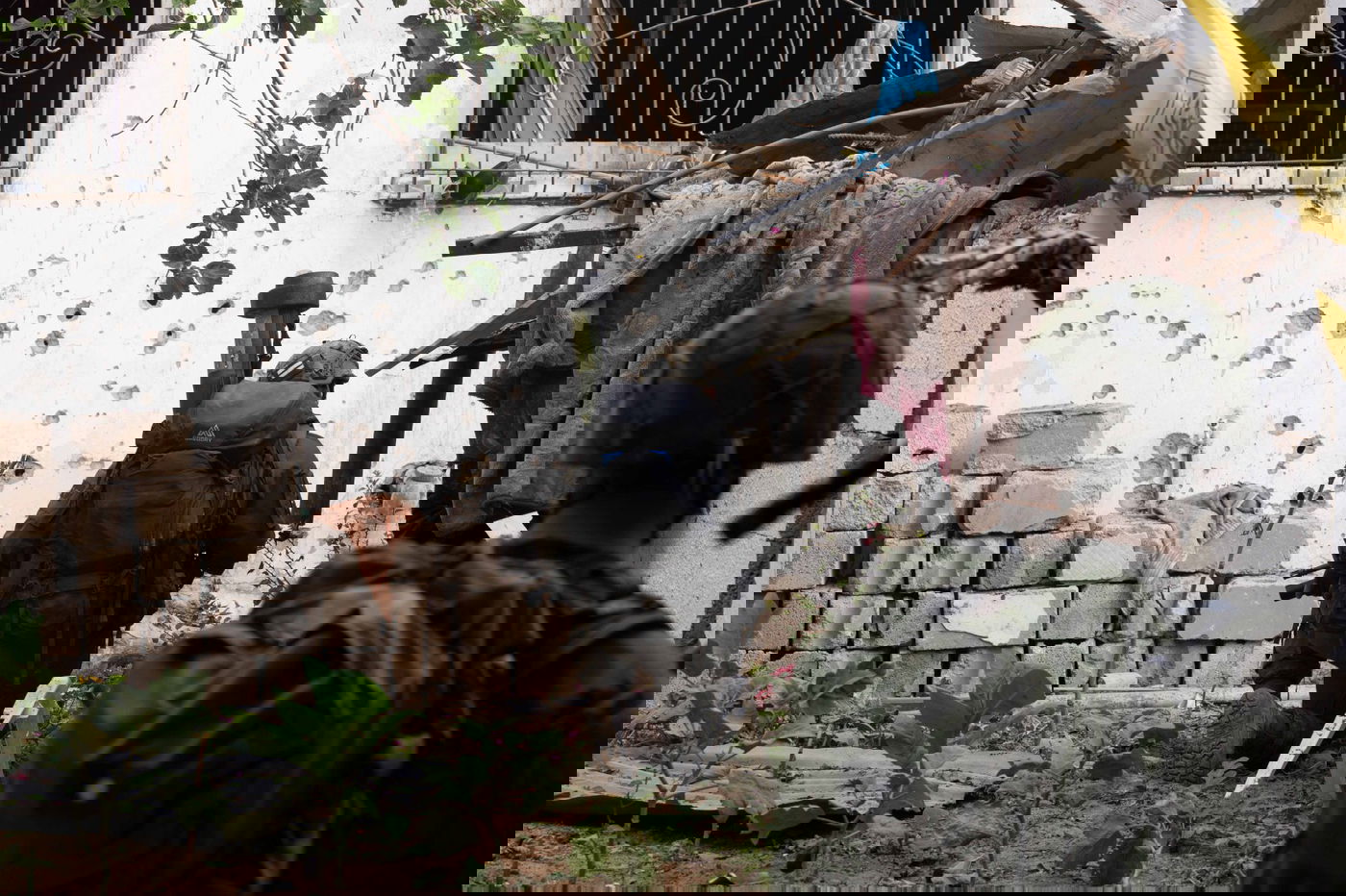 פעילות הכוחות ברצועה