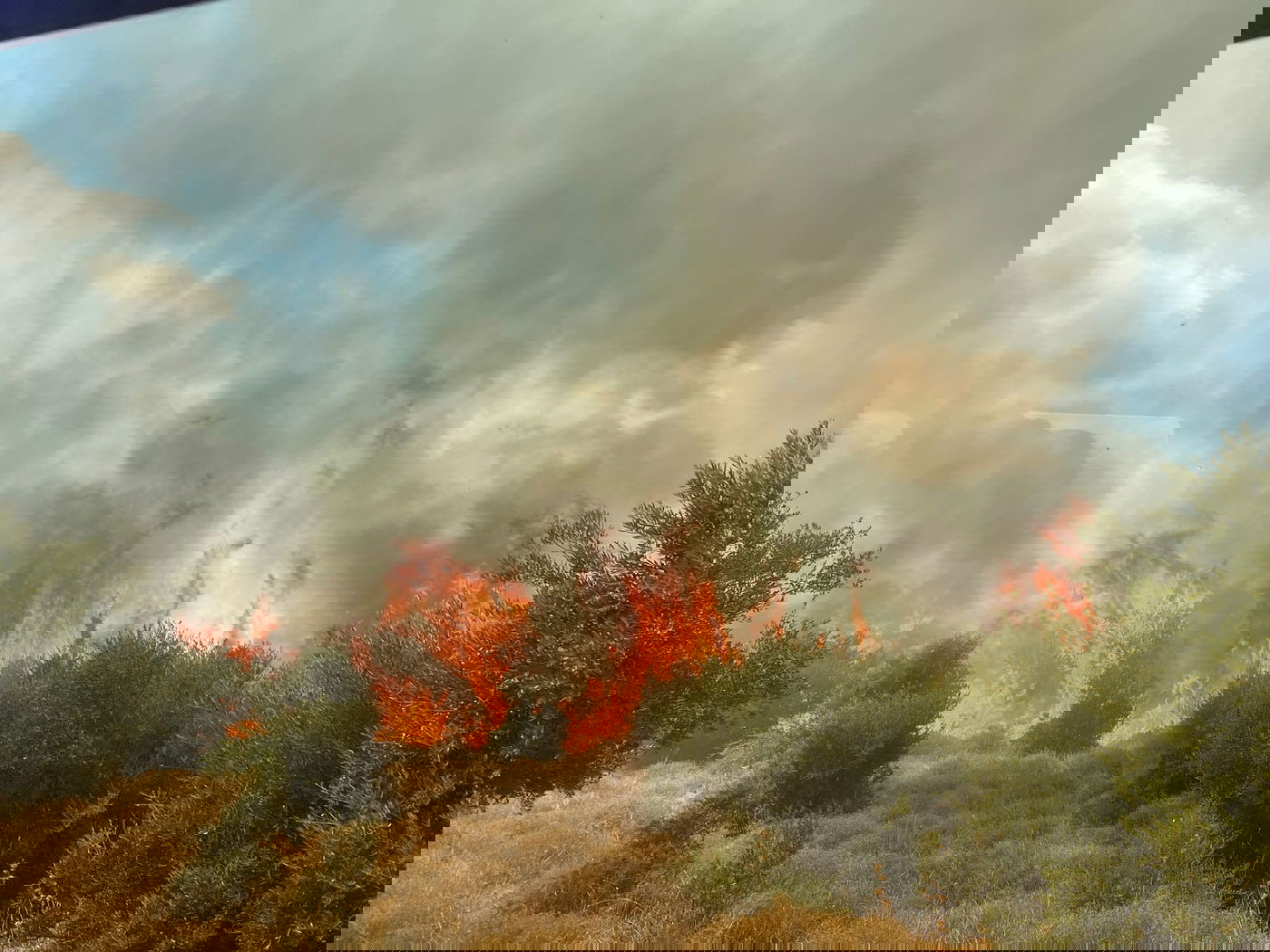 אזעקות במירון ובצפת | חייל ו-2 אזרחים אמריקנים נפצעו