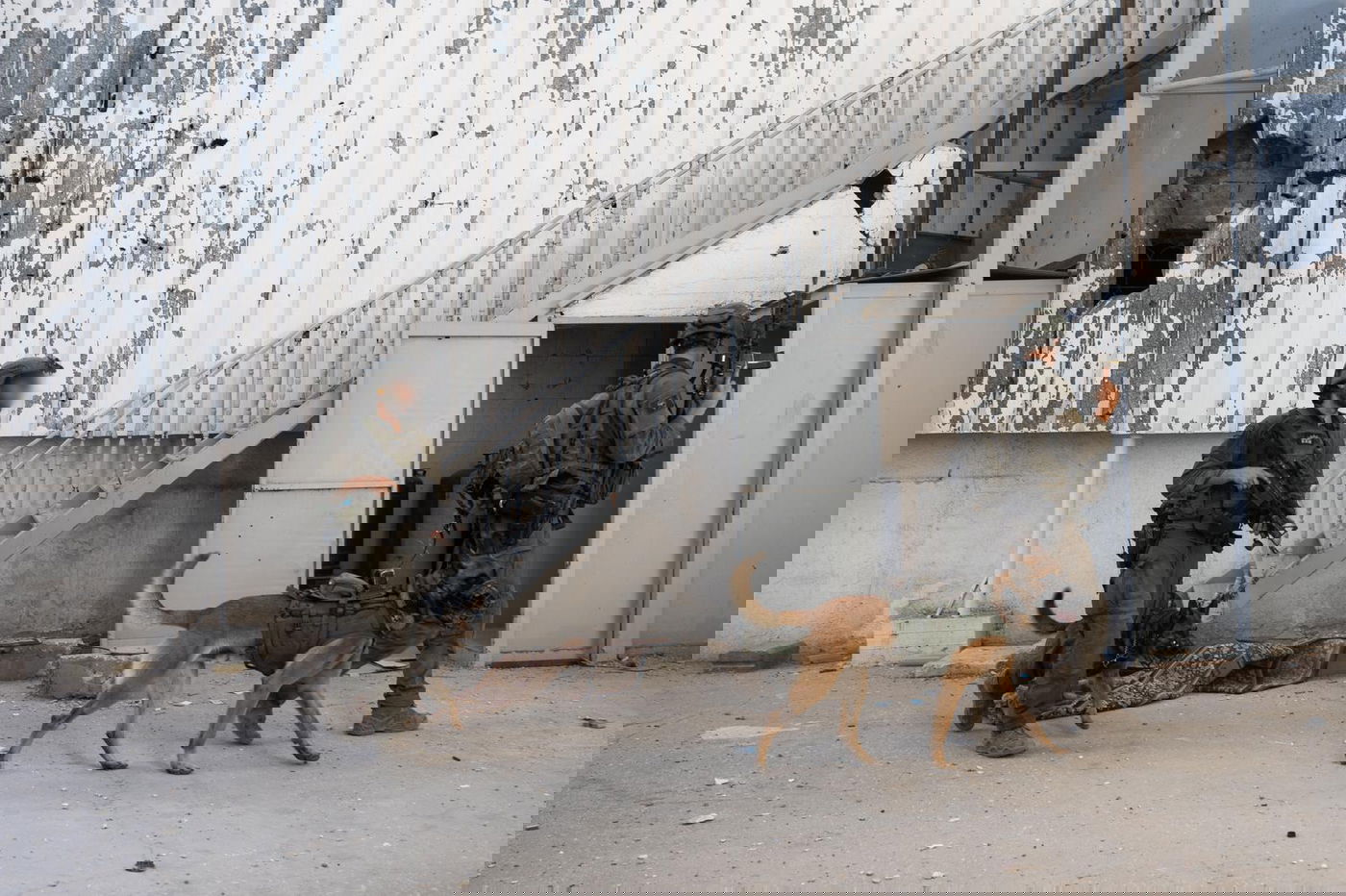 הלחימה בשג'עייה