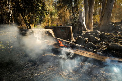  מראה המעיין הטבעי עין סלוקיה שנפגע מהשריפות