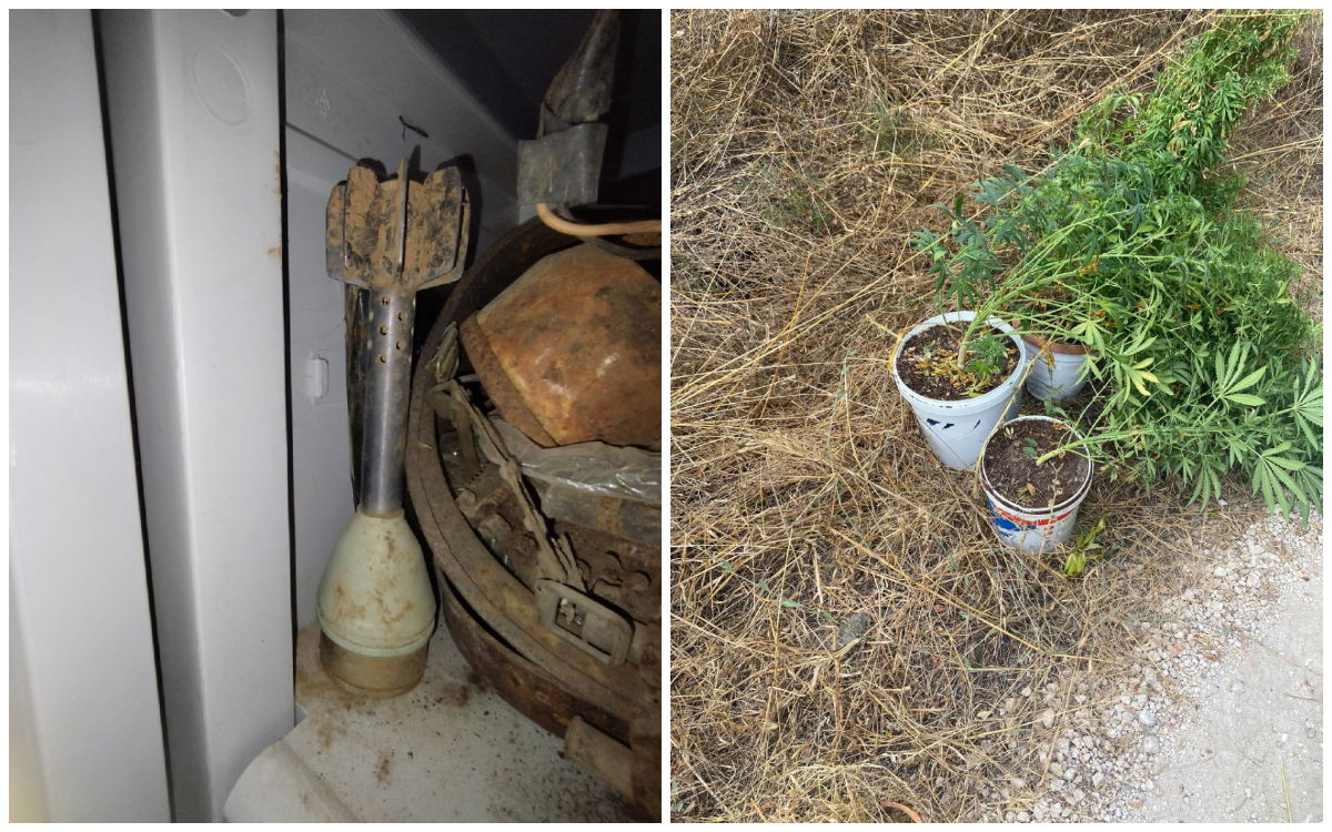 פצצת מרגמה ושתילי מריחואנה שנמצאו בבית החשוד מרמת הגולן