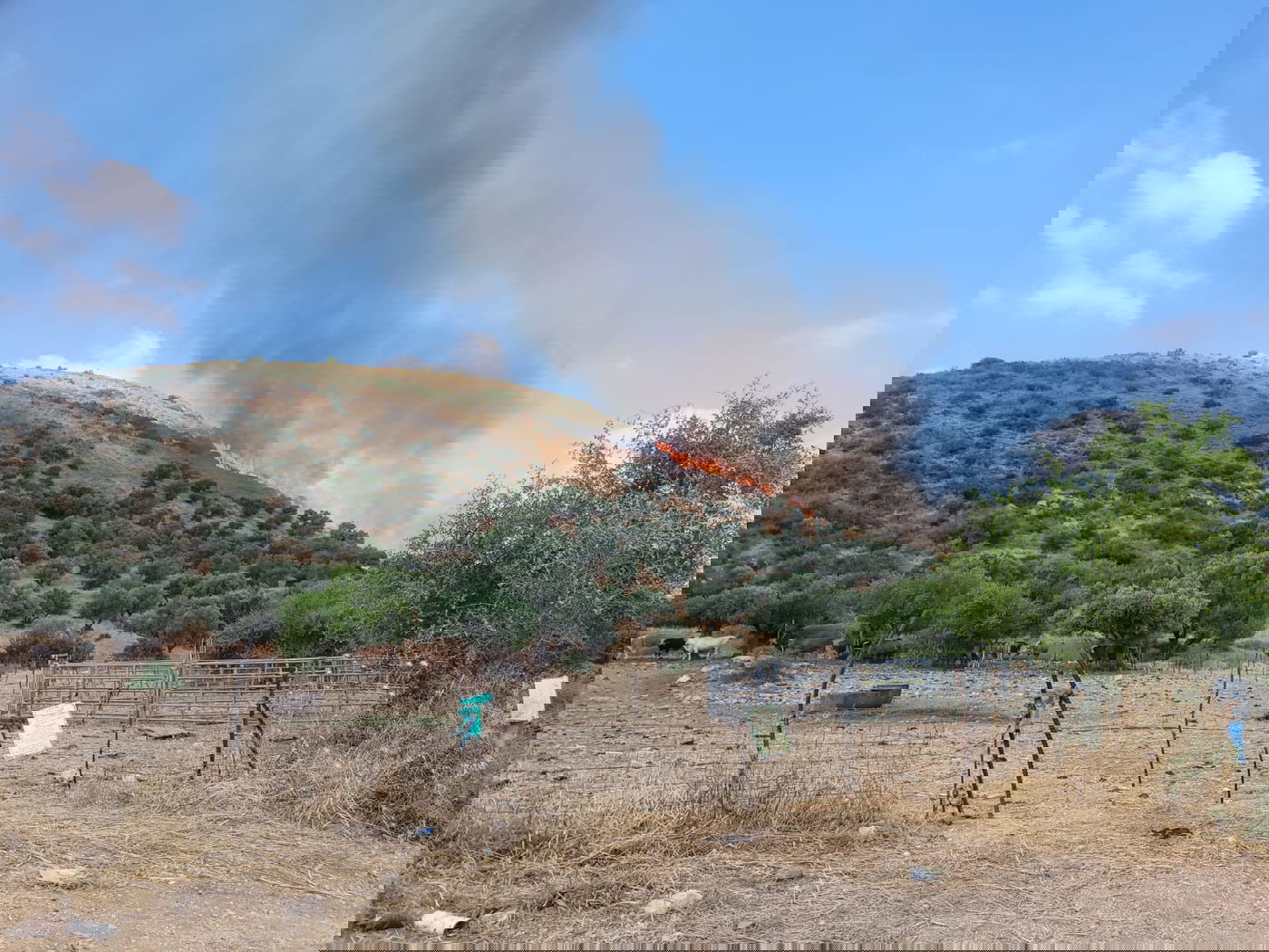 השריפה בשמורת טבע ארבל