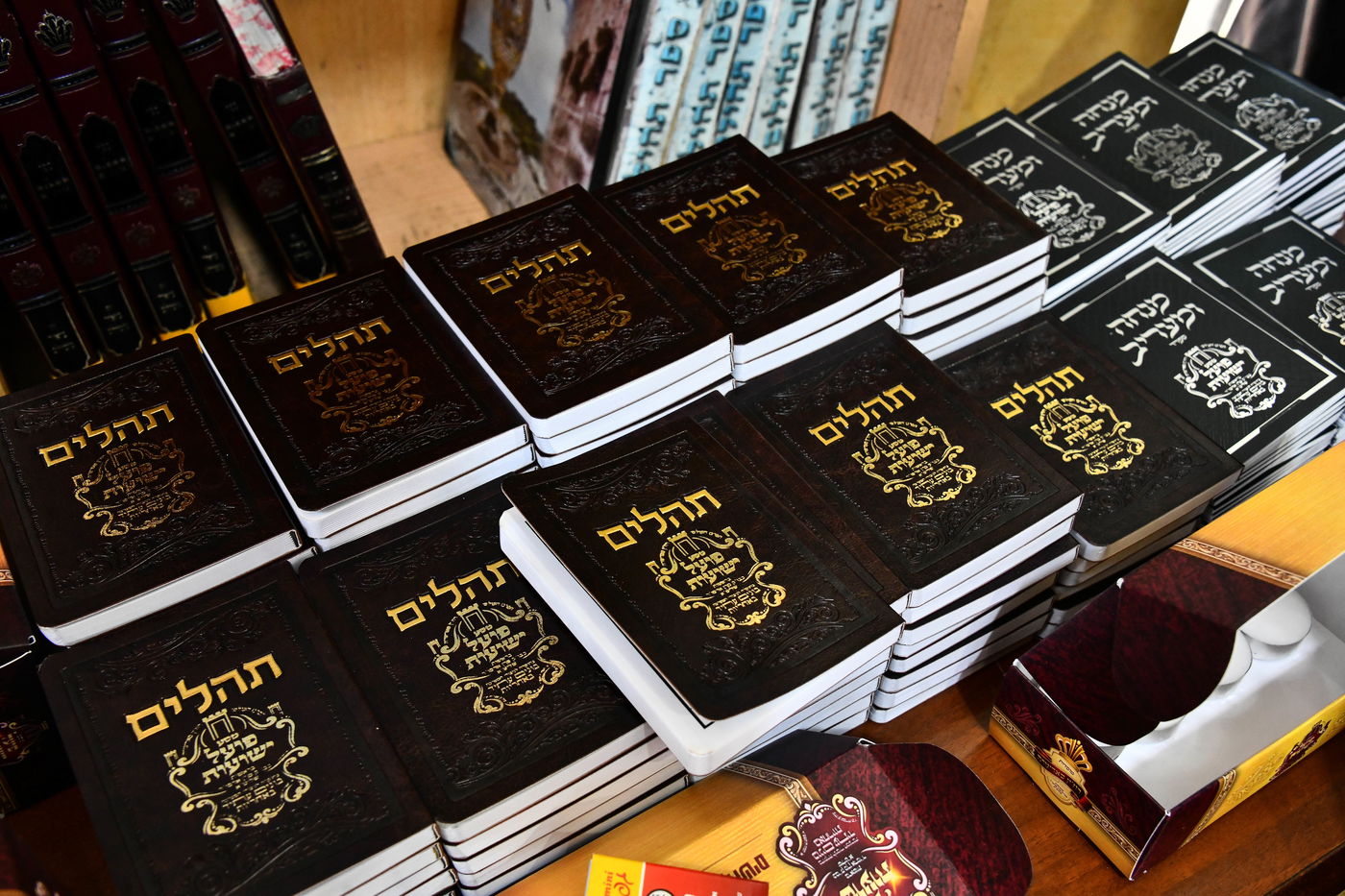 האדמו"ר מסאדיגורה במסע לצפון