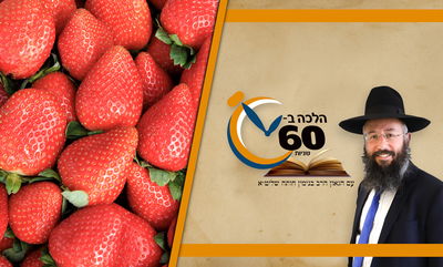 דיני ברכת "שהחיינו" על פירות חדשים שנמצאים גם ביוגורט • צפו 