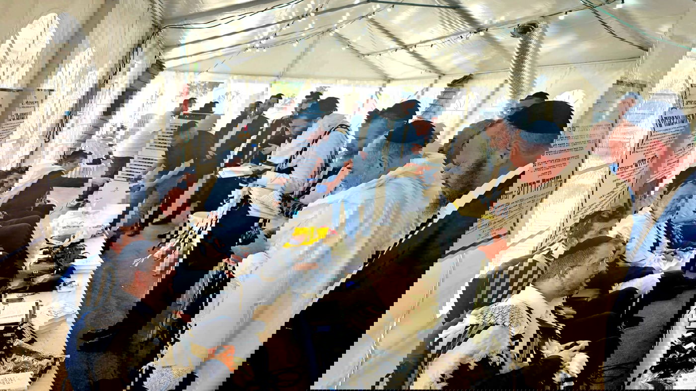 זופניק בכיכר • כל התמונות, הנייעס והחשיפות של השבוע