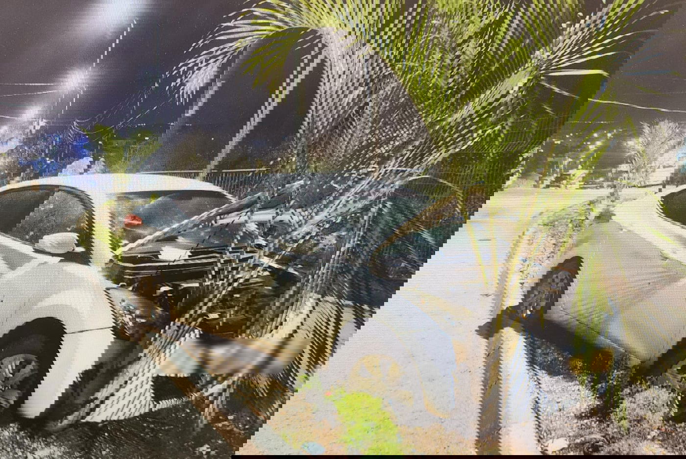 זירת הרצח ותמונות כלי הנשק שנתפסו