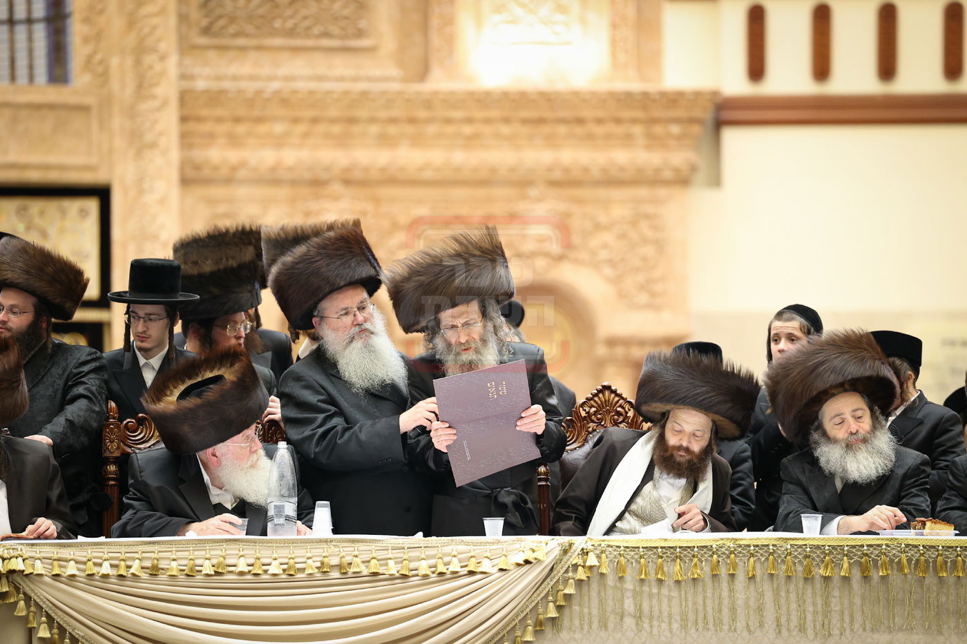 שמחת בית ויז'ניץ