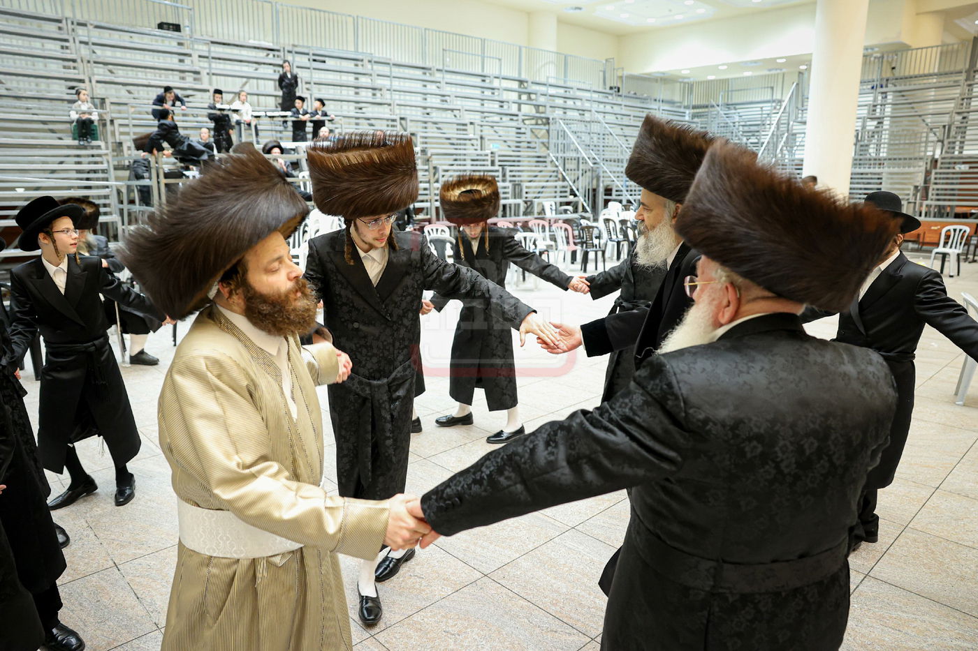 שמחת בית ויז'ניץ