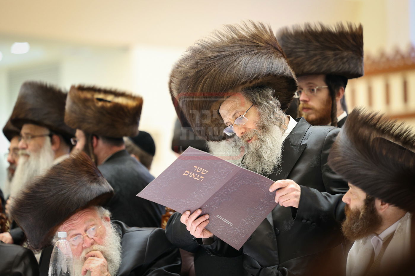 שמחת בית ויז'ניץ