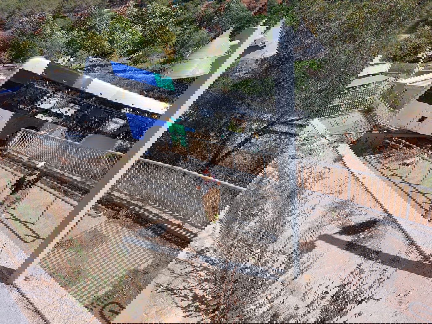 האוטובוס שהדרדר