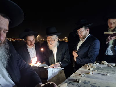 כך ציינו את היארצייט של הרבנית שיינא חיה אלישיב ע"ה