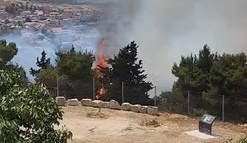 השריפה סמוך למתחם קבר שמואל הנביא