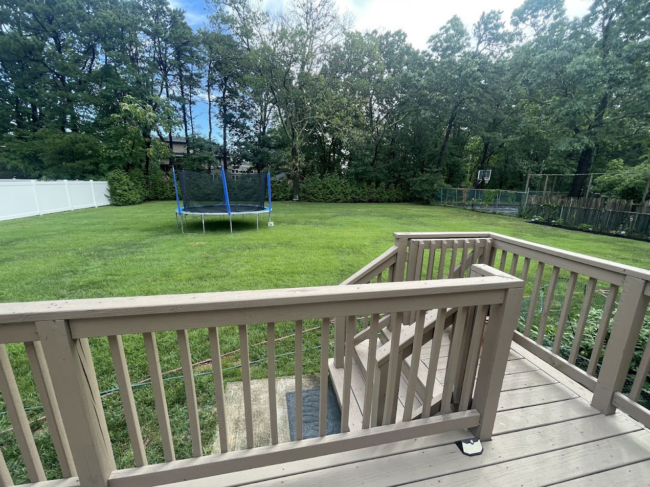 החצר. ולא זה לא חריג. למרבית היהודים יש בתים ממוצעים עם חצר גדולה מאחור