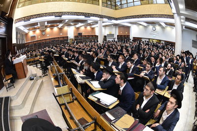 הגר"מ שטרנבוך ב'אור אלחנן'