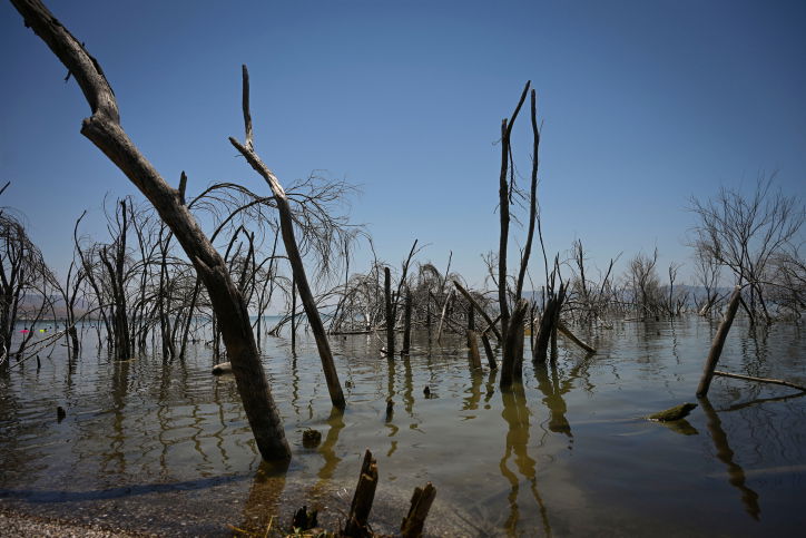 מוכנים? בשבת תחול הכבדה בעומס החום | התחזית המלאה