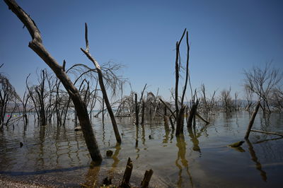 מוכנים? בשבת תחול הכבדה בעומס החום | התחזית המלאה