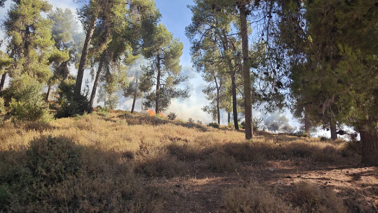 השריפות בגליל כתוצאה מפגיעות שיגורי חיזבאללה מלבנון