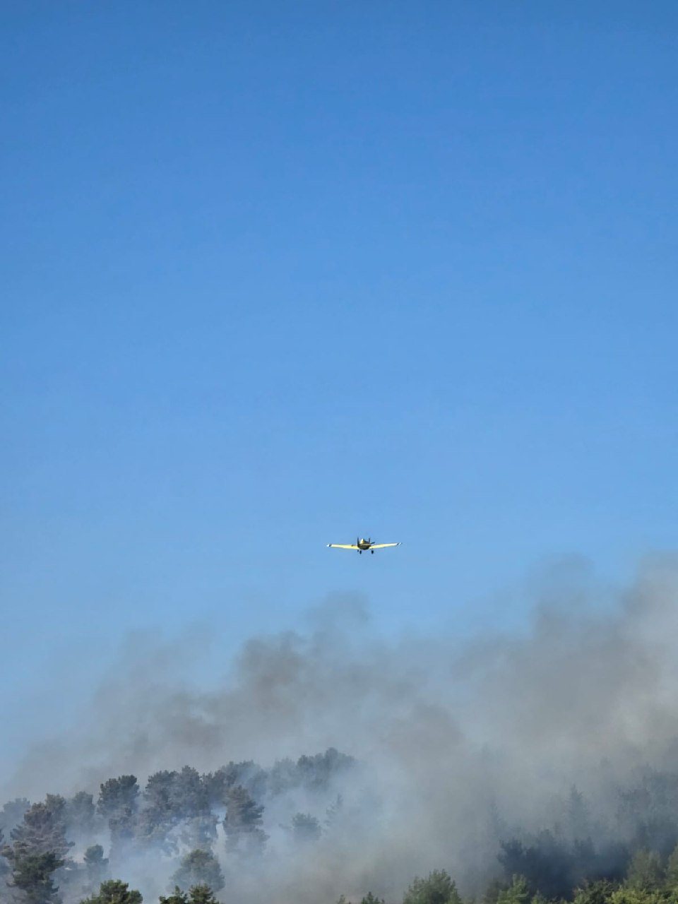 השריפות בגליל כתוצאה מפגיעות שיגורי חיזבאללה מלבנון