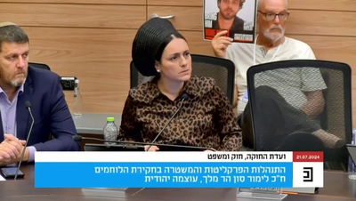 לימור סון הר מלך בדיון בוועדת חוץ וביטחון