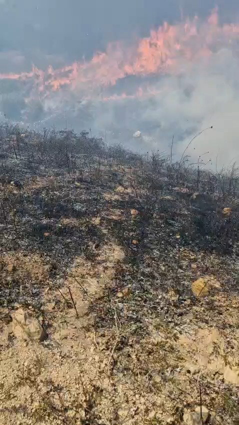 שריפת הענק בשומרון - סמוך להר ברכה