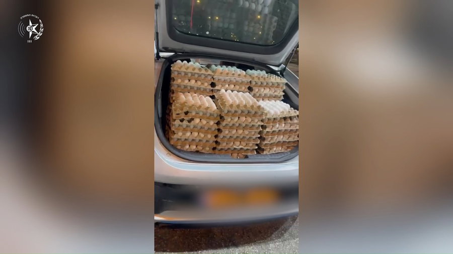 הביצים שנתפסו