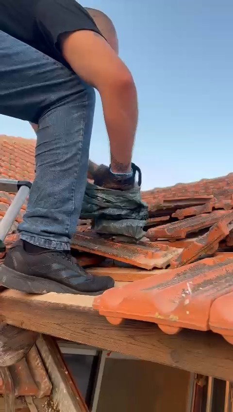 החיפושים בין הרעפים