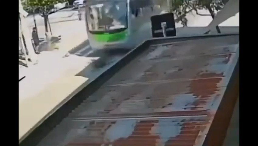 התיעוד הויראלי מהרשתות החברתיות