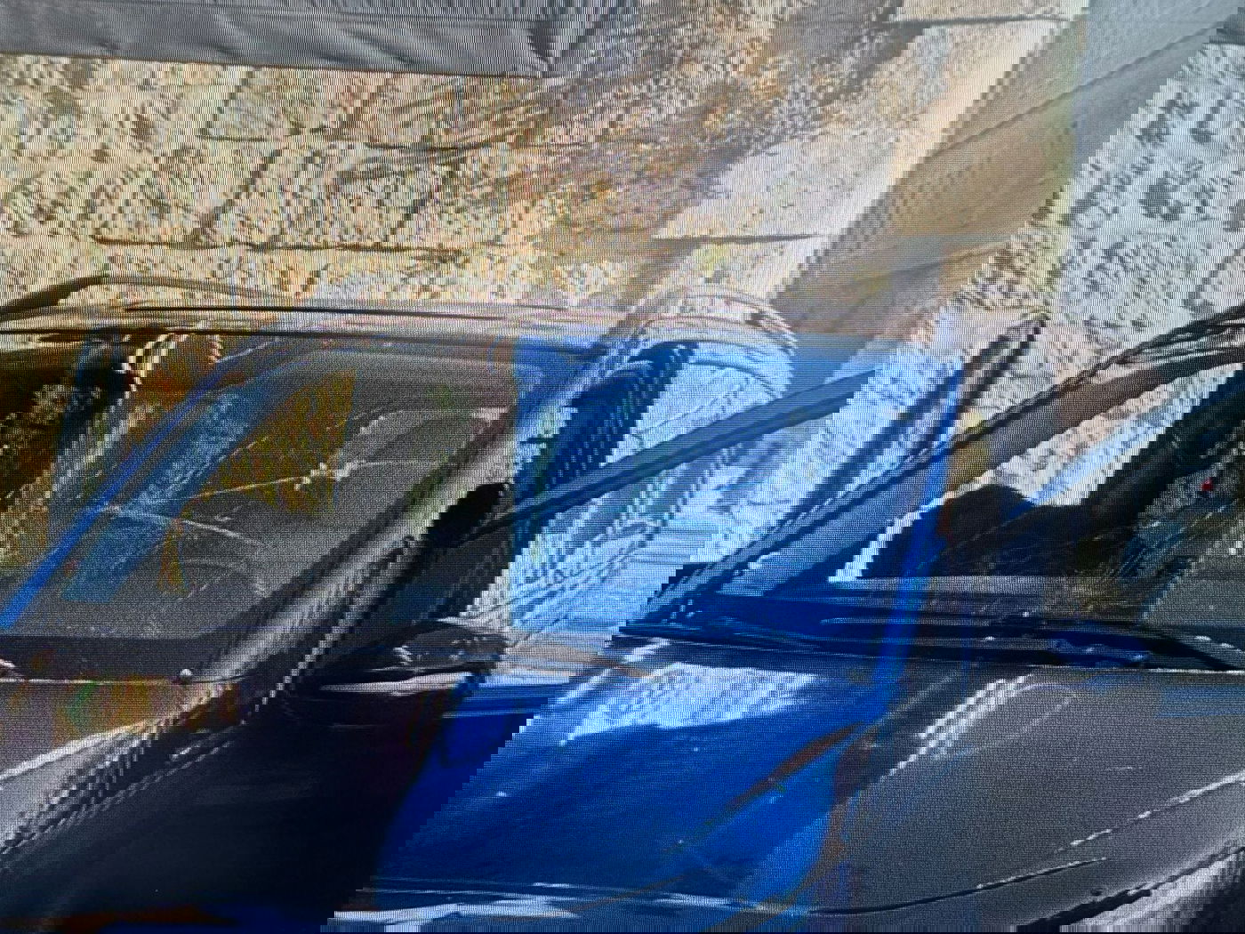 הרכבים שהותקפו