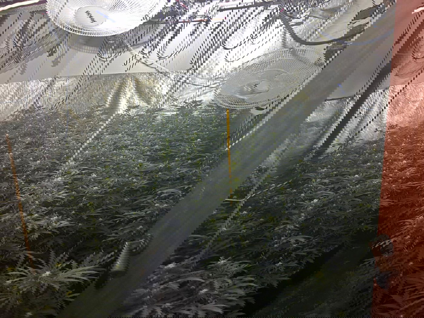 המעבדה שנתפסה באופקים