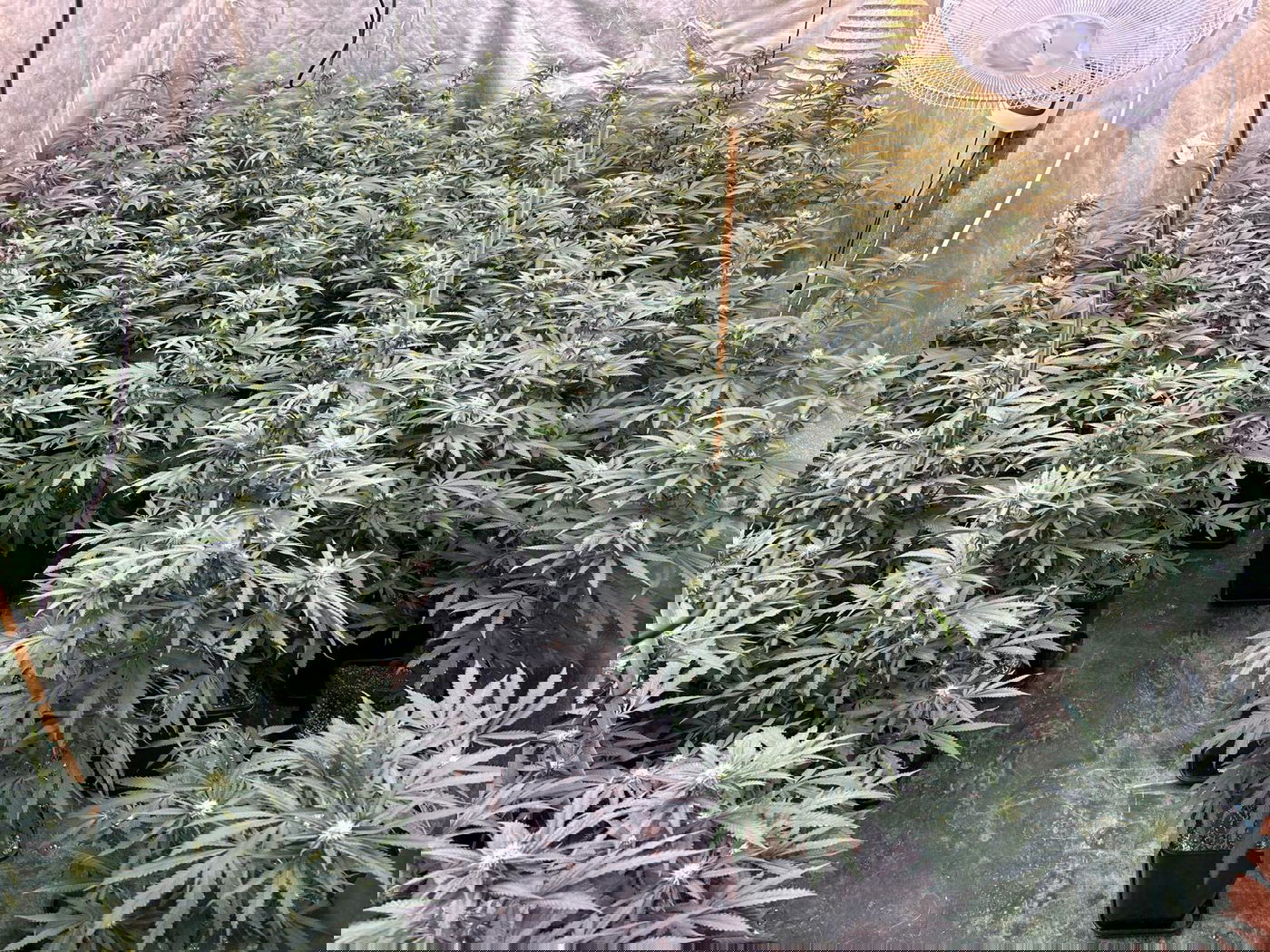 המעבדה שנתפסה באופקים