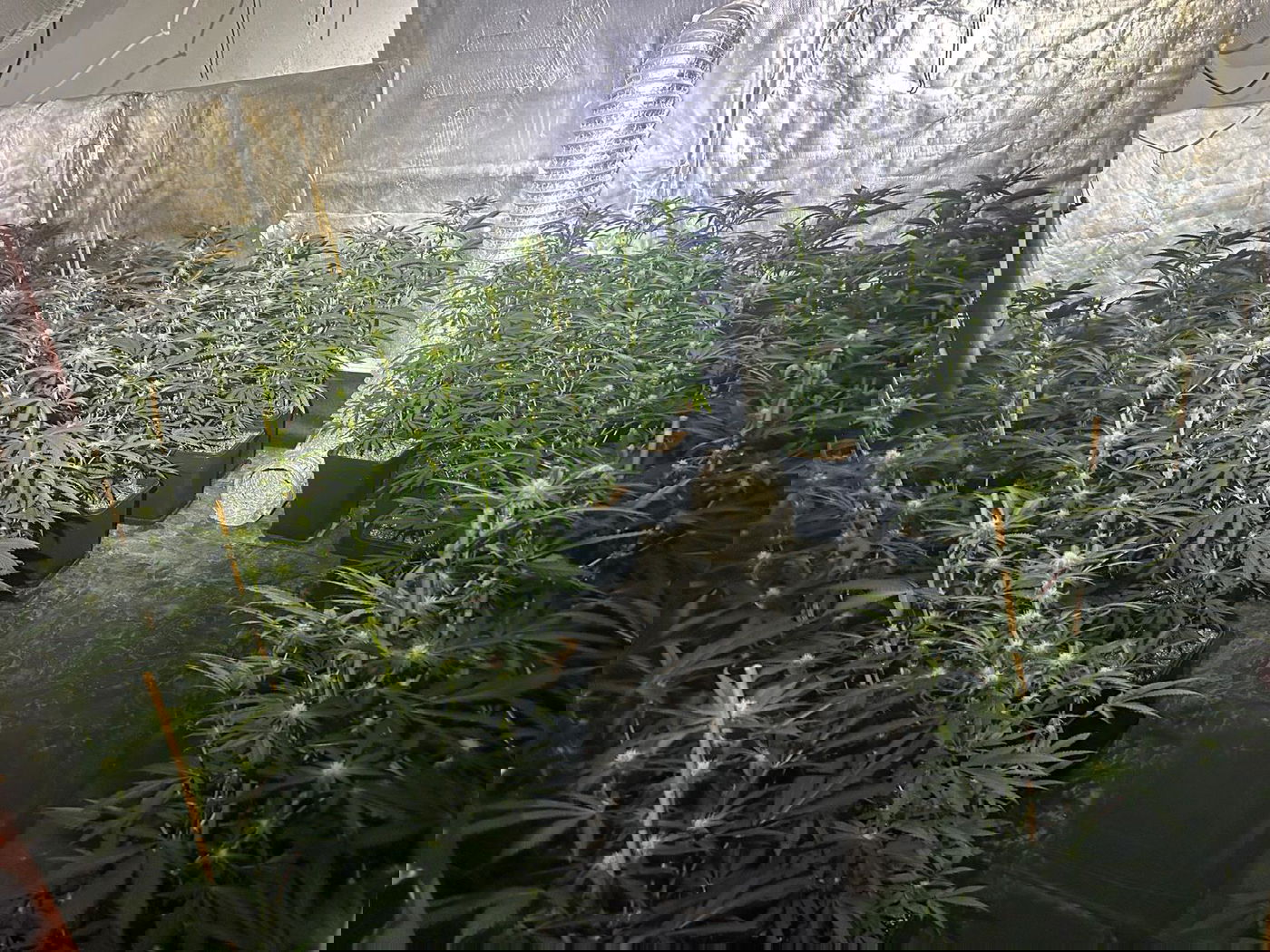 המעבדה שנתפסה באופקים