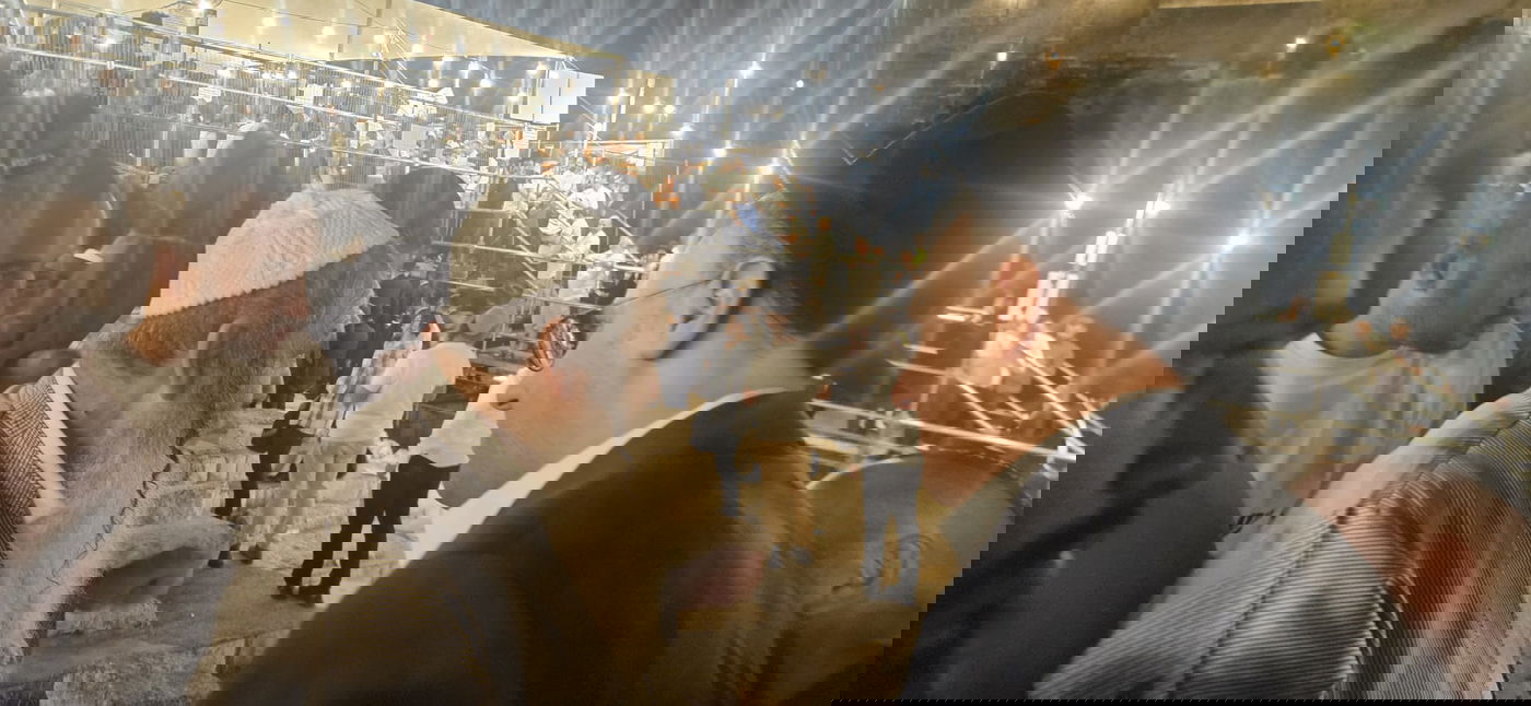 זופניק בכיכר • כל התמונות, הנייעס והחשיפות של השבוע