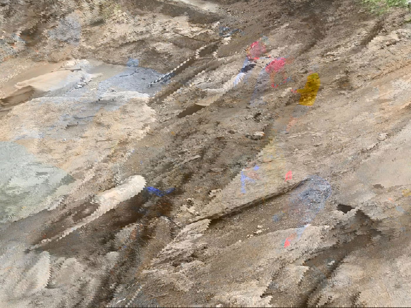 בית הכנסת העתיק בוילנה