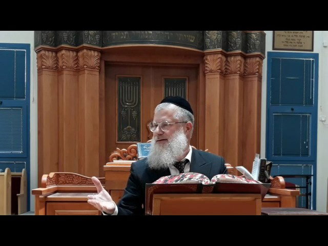 הרב אברהם יוסף שוורץ, על פרשת פנחס